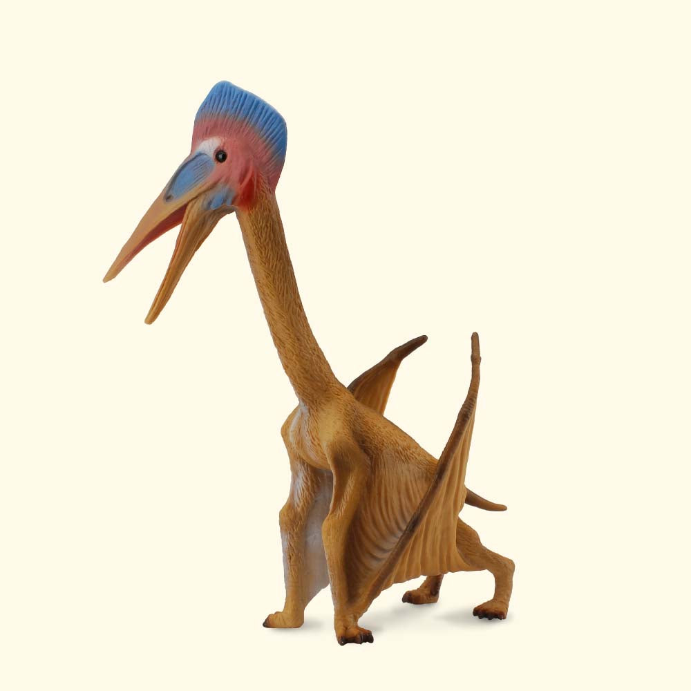 COLLECTA - HATZEGOPTERYX