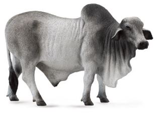 COLLECTA - BRAHMAN BULL GREY (L)