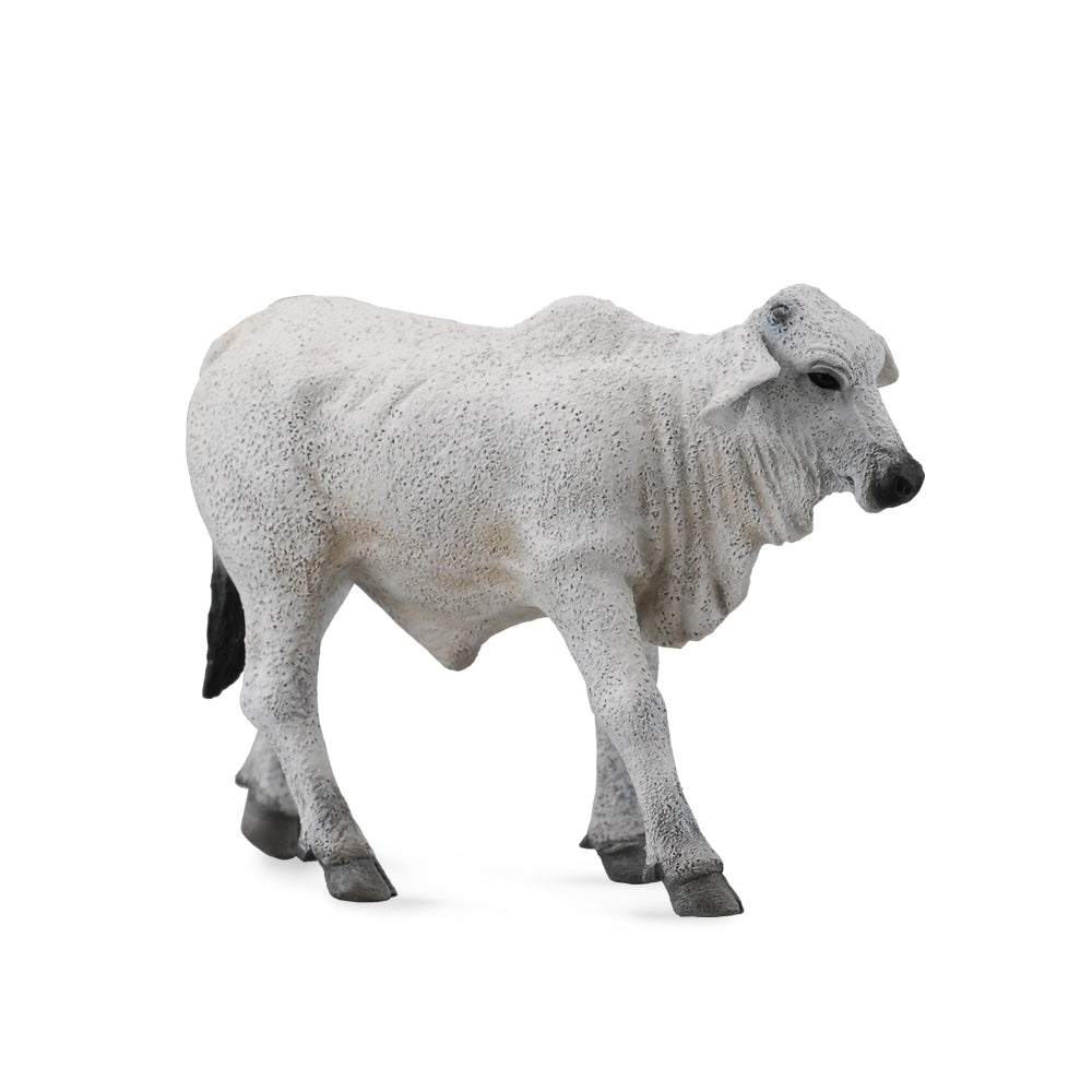 COLLECTA - BRAHMAN CALF GREY (S)