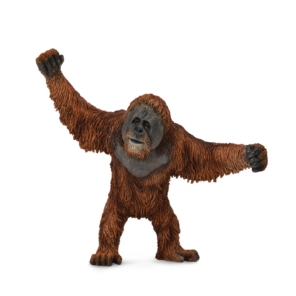 COLLECTA - ORANGUTAN