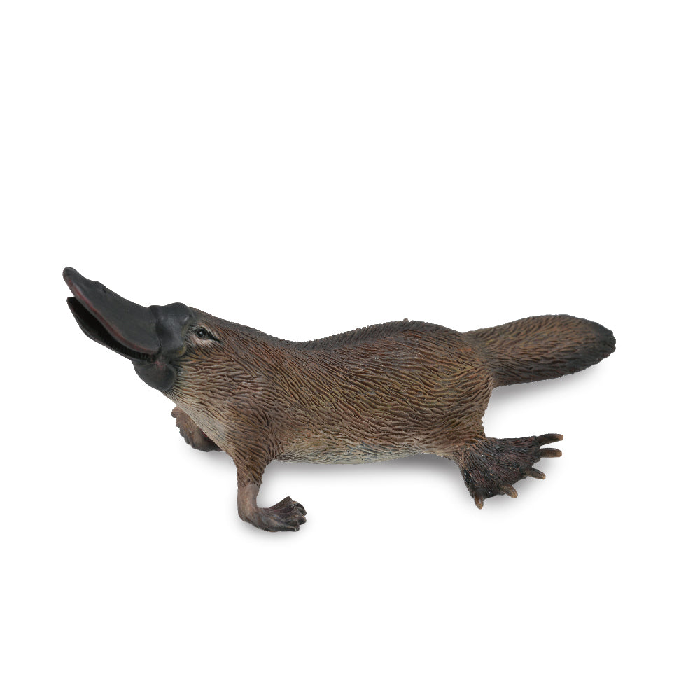 COLLECTA - PLATYPUS