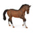 COLLECTA - WARMBLOOD STALLION - BAY