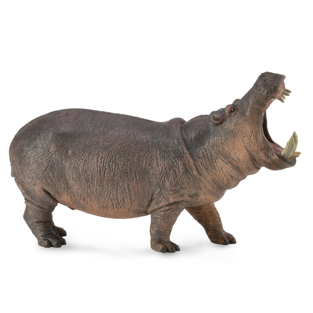 COLLECTA - HIPPOPOTAMUS