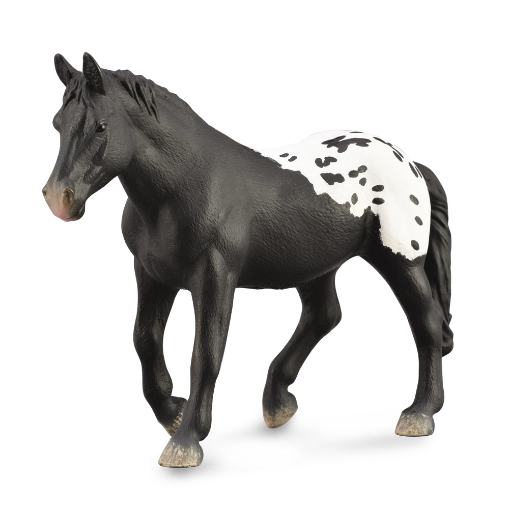 COLLECTA - SUGARBUSH DRAFT MARE - BLACK BLANKET WITH SPOTS