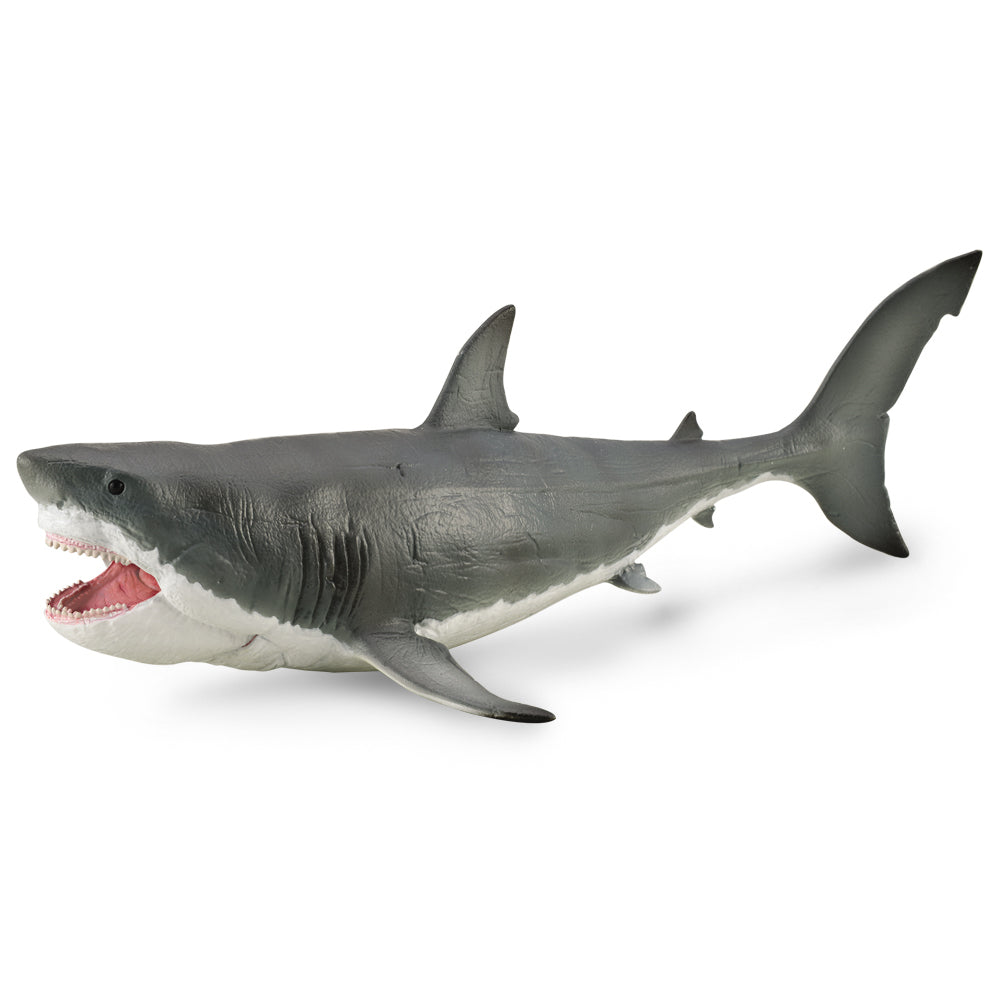 COLLECTA - MEGALODON WITH MOVABLE JAW