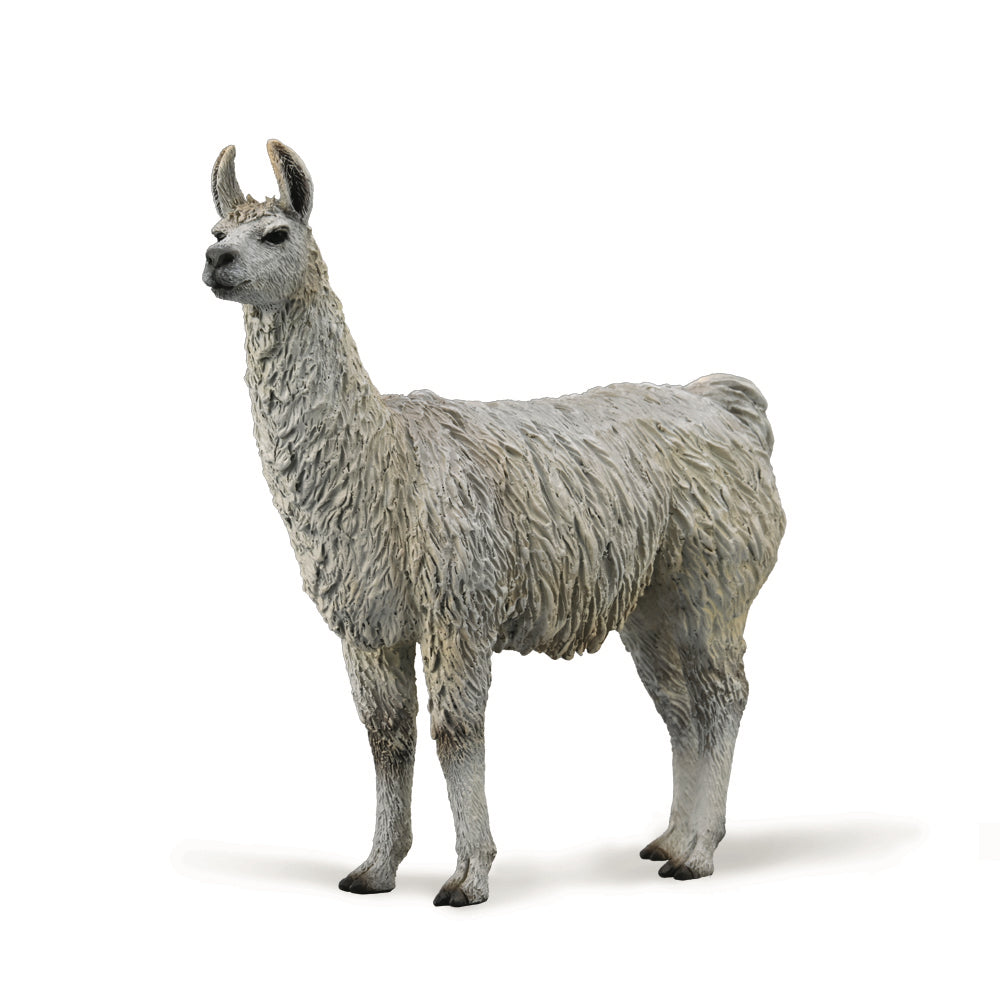 COLLECTA - LLAMA