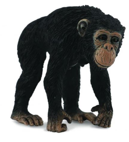 COLLECTA - CHIMPANZEE FEMALE (M)