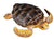 COLLECTA - LOGGERHEAD TURTLE (M)