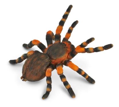 COLLECTA - RED KNEE TARANTULA (L)