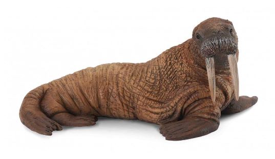 COLLECTA - WALRUS (L)