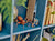 LEGO 76434 HARRY POTTER - ARAGOG IN THE FORBIDDEN FOREST