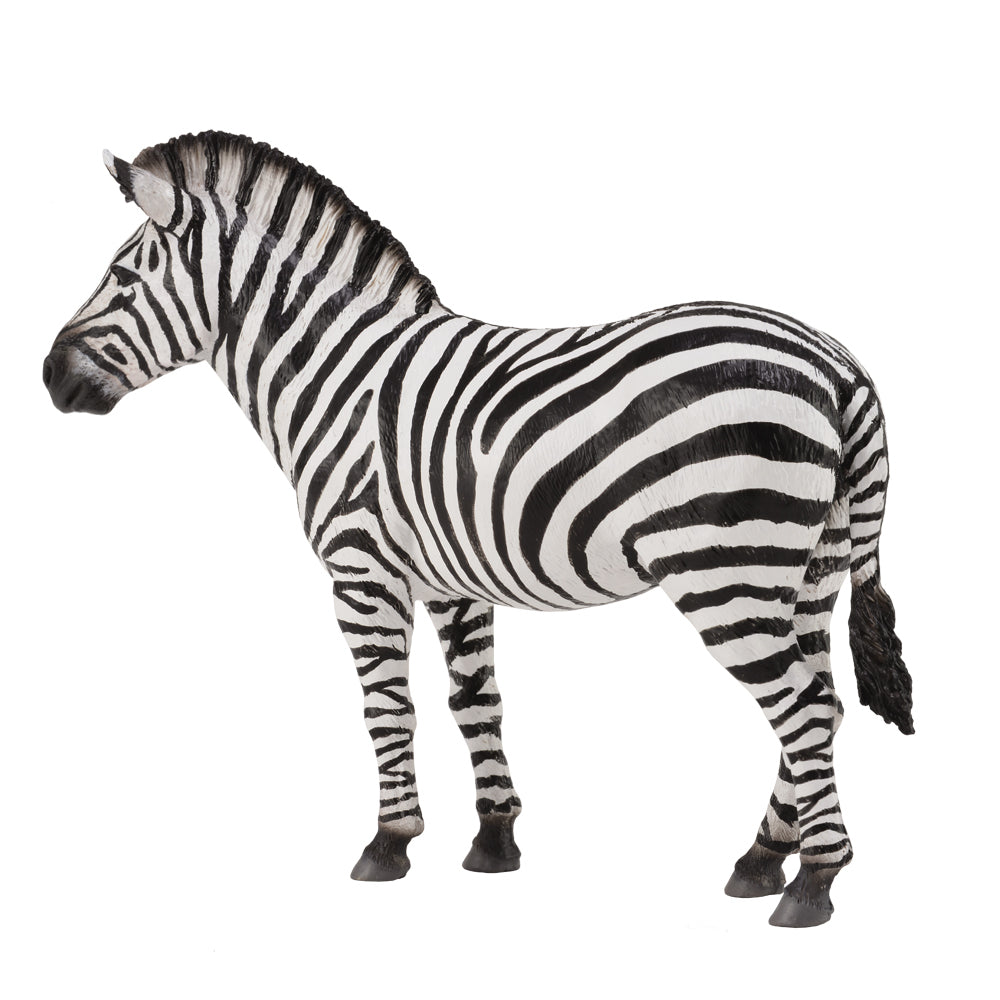 COLLECTA - COMMON ZEBRA