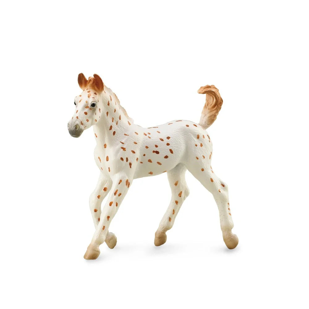 COLLECTAC - KNABSTRUPPER FOAL LEOPARD