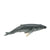 COLLECTA - HUMPBACK WHALE CALF