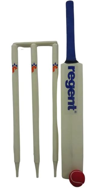 REGENT WOODEN CRICKET SET - STUMPS BALL & BAT IN CARRY BAG SIZE 5