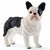 SCHLEICH FRENCH BULLDOG