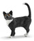 SCHLEICH - CAT STANDING