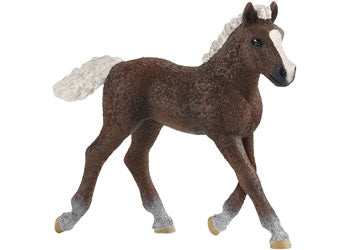 SCHLEICH - BLACK FOREST FOAL | SCHLEICH | Toyworld Frankston