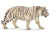 SCHLEICH - TIGER WHITE - Toyworld Frankston