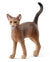 SCHLEICH - ABYSSINIAN CAT