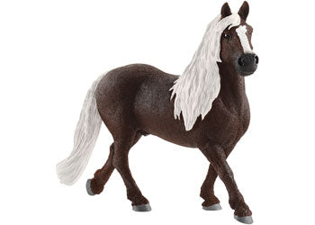 SCHLEICH - BLACK FOREST STALLION | SCHLEICH | Toyworld Frankston