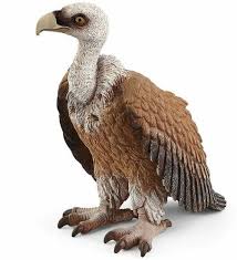 SCHLEICH - VULTURE