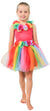 ENCHANTING FAIRY DRESS RAINBOW - MEDIUM