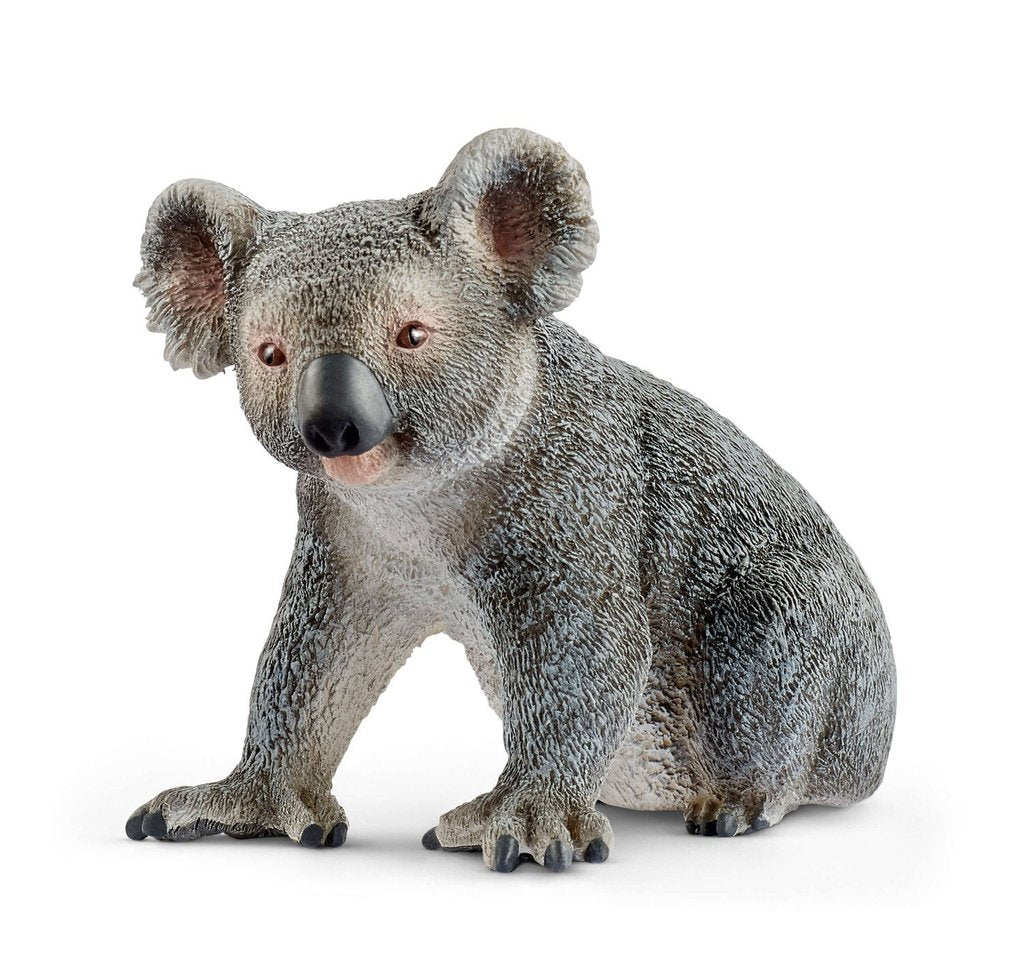 SCHLEICH KOALA