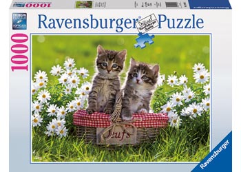 RAVENSBURGER - PICNIC IN THE MEADOW 1000PC PUZZLE