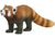 SCHLEICH - RED PANDA | Toyworld Frankston | Toyworld Frankston