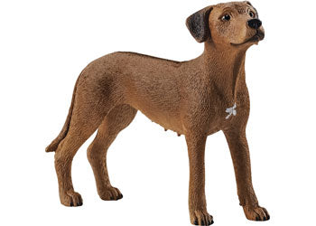 SCHLEICH -  RHODESIAN RIDGEBACK | SCHLEICH | Toyworld Frankston