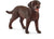 SCHLEICH LABRADOR RETRIEVER FEMALE