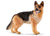 SCHLEICH GERMAN SHEPHERD