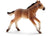 SCHLEICH - MUSTANG FOAL - Toyworld Frankston