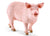 SCHLEICH - PIG - Toyworld Frankston