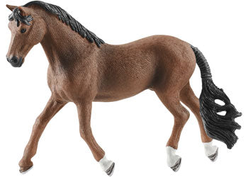 SCHLEICH - TRAKEHNER GELDING | Toyworld Frankston | Toyworld Frankston